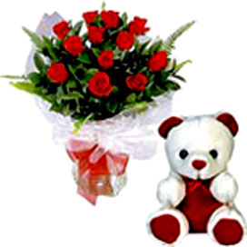 Red Rose & Cute Teddy