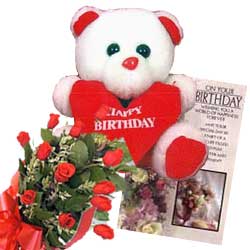 Red Rose & Cute Teddy & Greeting Card