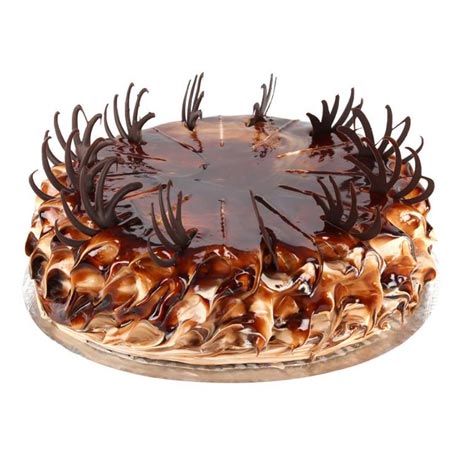 Chocolate Fudge Trendy Cake